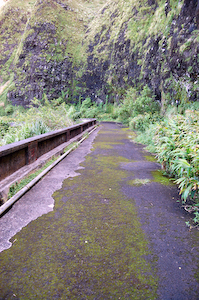 Old Pali Highway.